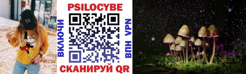 Псилоцибиновые грибы MAGIC MUSHROOMS  Цимлянск 